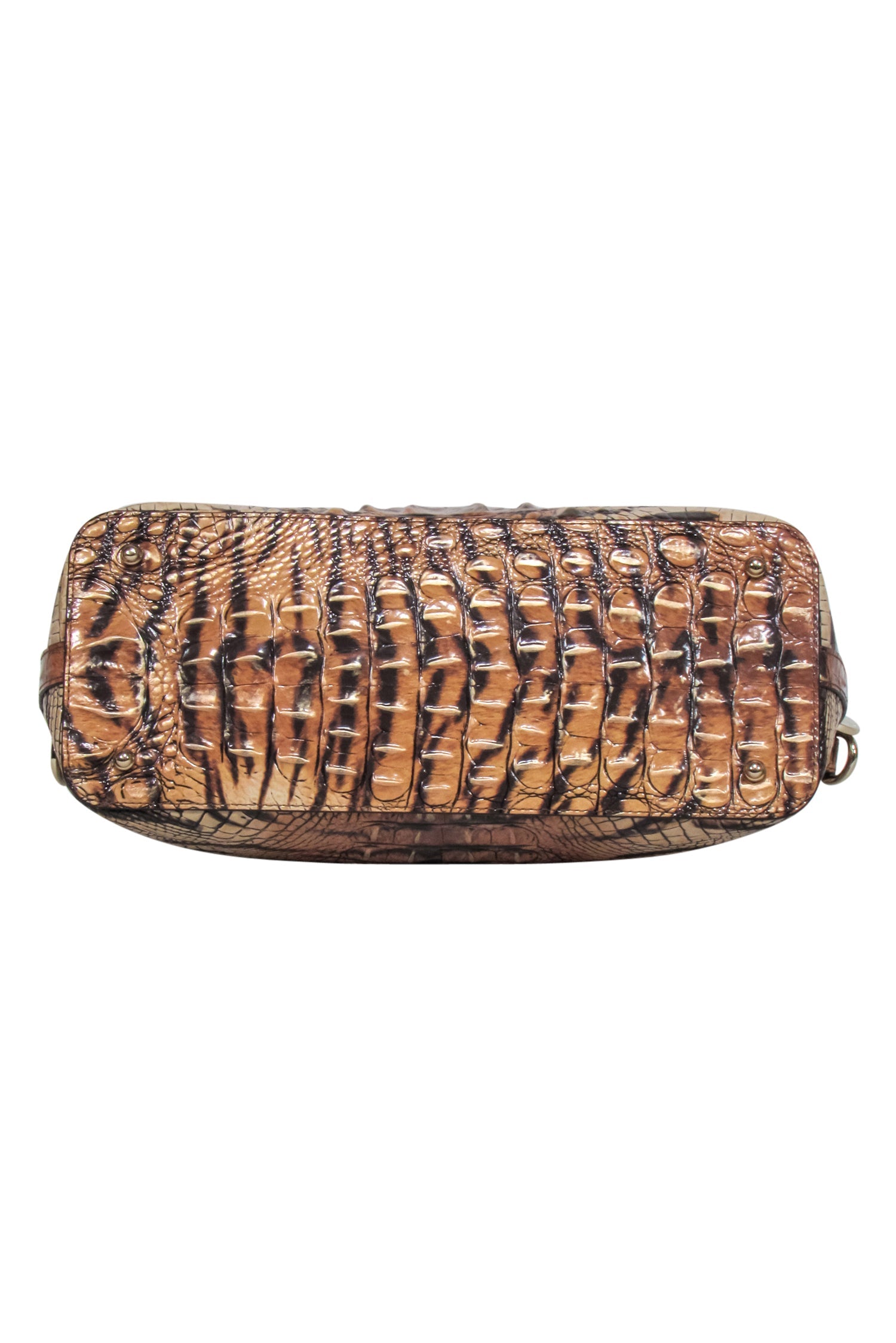 Brahmin - Stunning Tan & Brown Feline Ombre Melbourne Satchel Bag