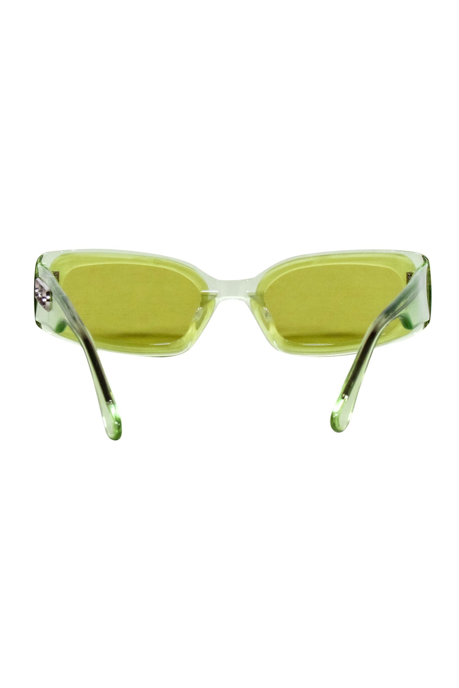 Gentle Monster x Alexander Wang - Stunning Transparent Green Sunglasses