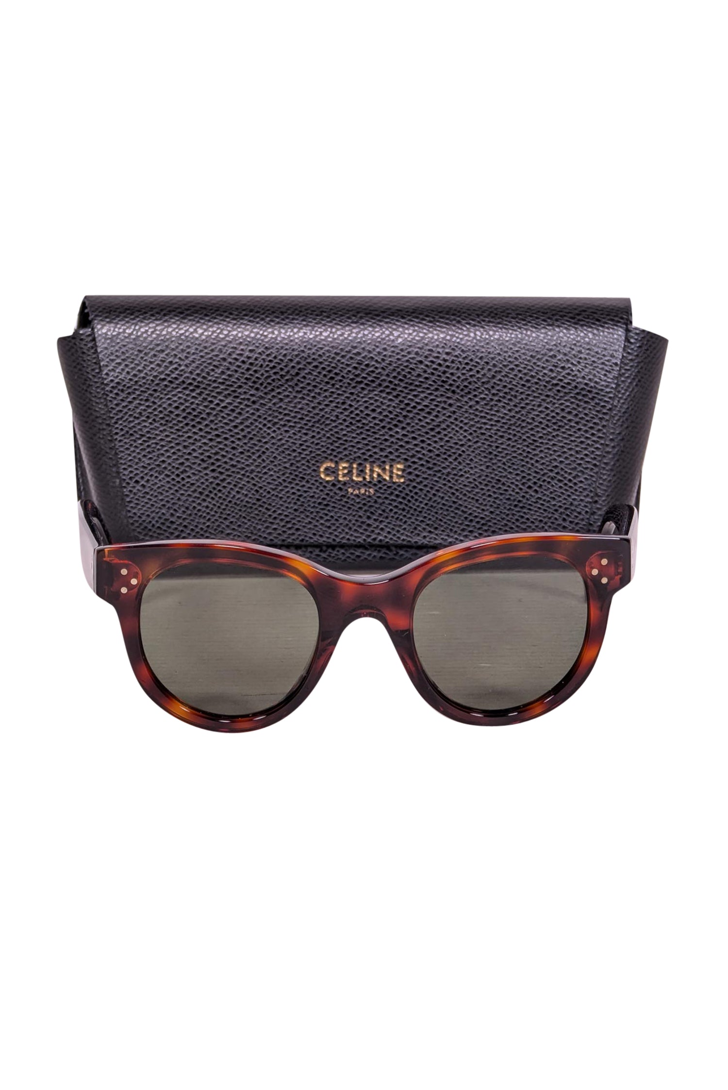 Celine's Stunning Brown Tortoise Rounded Sunglasses